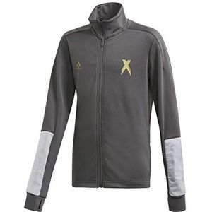 Adidas Jongens B A.R. X TTOP Sweater, Grijs zes/Goud met, 3-4A