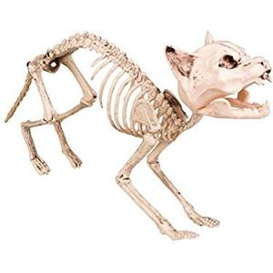 Boland 72156 - decoratie kattenskelet, grootte 60 cm, bottensteiger, decoratief figuur, horrorparty, carnaval, themafeest