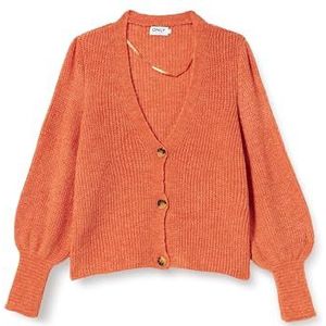 ONLY Dames ONLCLARE L/S Cardigan KNT NOOS 15209307, Tijgerlily/detail: melange, S