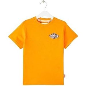 Lee Cooper GLC80701 S8 T-shirt, oranje, 14 jaar, Oranje, 14 Jaren