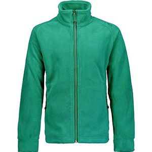 CMP Jongens Fleece jas, Emerald/Antraciet, 116