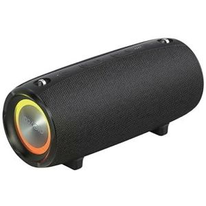 IRRADIO IR-G600, draagbare luidspreker met 40 W, dubbele Woofer, RGB-led, IPX7 waterdichtheid, True Wireless, krachtig geluid voor elk muziekgenre, ideaal voor binnen en buiten