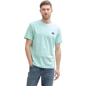 TOM TAILOR T-shirt voor heren, 37455 - Mint White Fine Stripe, XL