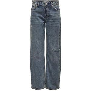 ONLCOBAIN REG Wide Tint DNM DOT, Dark Blue Denim/Detail: gekleurd, 33W x 32L