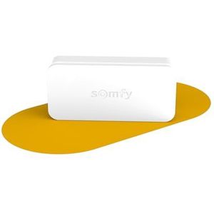 Somfy 2401487 - IntelliTAG | Zelfafgeschermde trillingsdetector voor binnen of buiten | Detectie vóór opening | Compatibel Somfy Eén (+) & Somfy Home Alarm (geavanceerd)