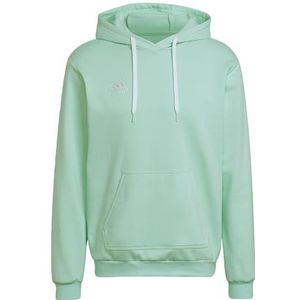 adidas Entrada 22 Sweat Hoodie heren Sweatshirt,Turquoise,S