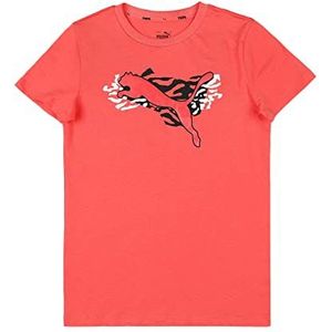 PUMA T-shirt merk model Alpha tee G