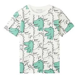 TOM TAILOR T-shirt voor jongens, 34894 - Outlined Dino Allover, 104/110 cm