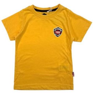 Lee Cooper, T-shirt, jongens, meisjes, (4-14 jaar), poloshirt, tanktop, overhemd, bedrukt, kleding, uniseks, kinderen, sport, ademend, model GLC121209 TS S1-10A, geel, Geel, 10 Jaar