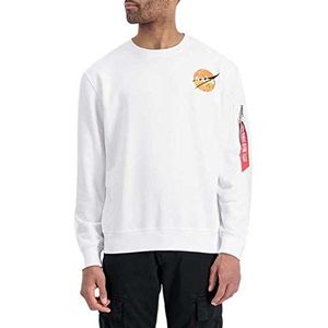 ALPHA INDUSTRIES Heren NASA Davinci Sweater Polo Pullover