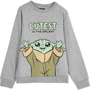 Cerdá The Mandalorian Cotton Brushed Grogu Sweatshirt 10 jaar
