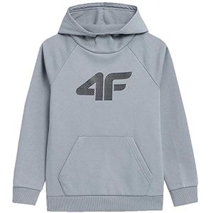 4F JUNIOR Sweatshirt M220 Color Light Blue Maat 134 voor heren, Lichtblauw, 134