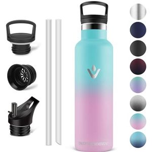 Vikaster Thermosfles, 750 ml, BPA-vrije drinkfles, thermosfles met rietje, voor school, sport, fiets, camping, fitness, outdoor
