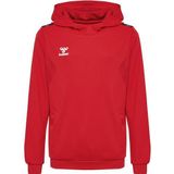 Hummel - Authentic Pl Hoodie - Polyester - Kids