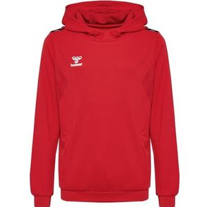 Hummel - Authentic Pl Hoodie - Polyester - Kids