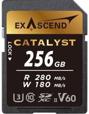 Exascend - SD UHS-II V60 Catalyst - Geheugenkaart - 256GB