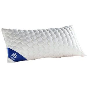 Irisette Vitamed Hoofdkussen, geproduceerd in Duitsland, hoofdkussen met afneembare overtrek van puur katoen, 40 x 80 cm, Öko-Tex gecertificeerd