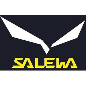 Salewa Heren Skibroek Antelao Beltovo Twr M PNT