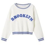 Gebreide Trui - Regular Fit - Ronde Hals - Lange Mouwen - Geborduurd