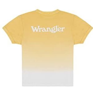 Wrangler Dames Relaxed Ringer Tee T-shirt, Pale Banana, X-Small, geel (pale banana), XS