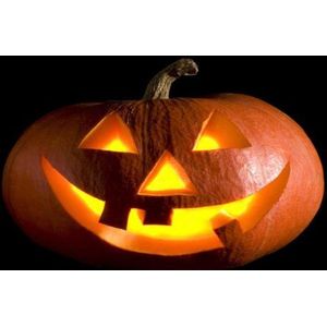 Digital Republic.com 40245 voetveger, van polyamide PVC, ftalaatvrij