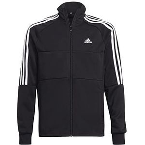 adidas Jongens B Sere Tt Sweatshirt, zwart/wit, 13 Jaren