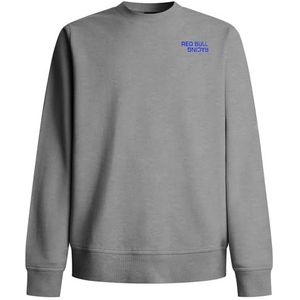 Red Bull Racing - REFLECT LOGO CREW - Sweatshirt - Grijs