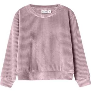 Nmfveloa Ls Velvet Short Top, Keepsake Lilac, 116