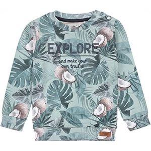 Koko Noko Baby Boys Jumper Light Green Coconut Sweater, 74