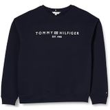 Tommy Hilfiger Dames CRV Mdrn Reg Corp Logo Swtshrt Sweatshirts, woestijn hemel, 48