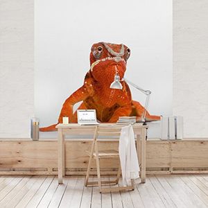 Apalis Vliesbehang Rode Kameleon Fotobehang Vierkant | Vlies Behang Muurschildering Foto 3D Fotobehang voor Slaapkamer Woonkamer Keuken | Grootte: 240x240 cm, meerkleurig, 97969
