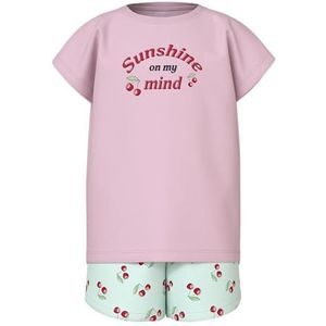 NAME IT Nkfvigea Capsl Top Set voor meisjes, Ballerina, 122