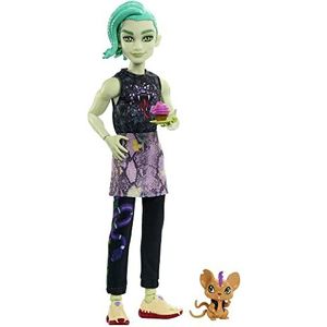 Monster High Deuce Gorgon, beweegbare pop, dierenvriendje en accessoires, denim slangenjack, zonnebril met getinte glazen, kinderspeelgoed, cadeauset, HHK56