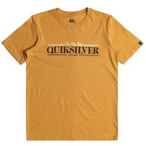Quiksilver T-shirt voor jongens Gradient Line Ss YTH (pak van 1)
