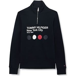 Tommy Hilfiger Hoodies voor heren, Blauw (Woestijnhemel), L