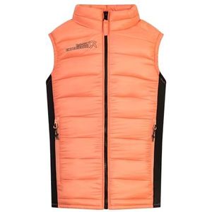 Fortune - Hybrid - Gilet - Zwart - Nylon - Ademend
