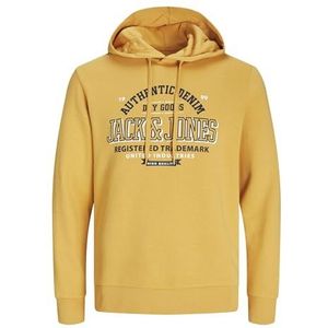 Jack & Jones JJELOGO Sweat Hood 2 COL 24/25 NOOS, honinggoud, XS