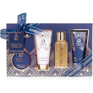Accentra Badset SALSA ESSENCE OF BEAUTY voor vrouwen, lotion, gel, handcrème, badbruisbal, witte thee- en neroligeur, geschenkdoos, luxe voor vrouwen