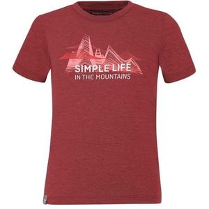 SALEWA T-shirt merk model Simple Life Dry K S/S Tee