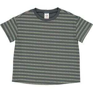 Müsli by Green Cotton Jongens Stripe Sweat Big S/S T T-shirt, Balance Green/Poetry Green, 104