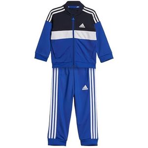 adidas Tiberio Trainingspak voor kinderen, Colorblock Shiny tracksuit met 3 strepen, Tinley/wit/blauw, 12-18 maanden, uniseks baby