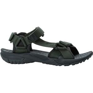 Jack Wolfskin Lakewood Ride Sandal M, lichte herensandalen voor wandeltochten en dagelijks gebruik, strandschoenen met gripvaste zool, onderhoudsvriendelijke badschoenen voor mannen, IJsland Moss,