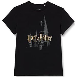 HARRY POTTER Heren T-Shirt, zwart., L