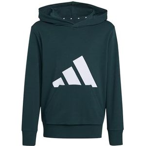 adidas - Sportswear Hoodie J BL FT HD 280 - Aurora Ivy / White - Sweater