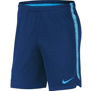 Nike Heren FCB M NK DRY SQD K Shorts, coastal blue/Vivid sky/equator, S