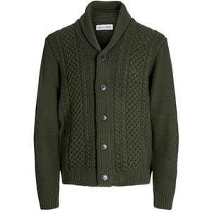JACK & JONES Gebreid vest  groen