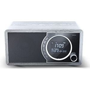 SHARP DR450 digitale radio (DAB/DAB+/FM met RDS, Bluetooth, wekkerfuncties, 6 watt), grijs