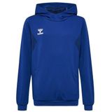 Hummel - hmlAUTHENTIC PL HOODIE - Sweater - Zwart - Polyester