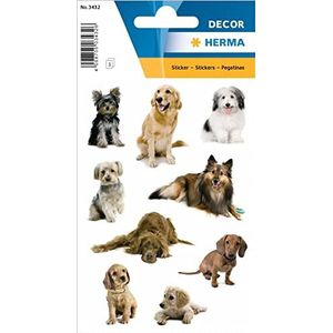 HERMA 3432 dierstickers, hondenfoto's (27 stickers, papier, mat) zelfklevend, permanent hechtende etiketten met motief voor meisjes en jongens, kleurrijk