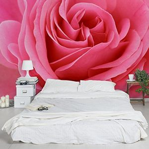 Apalis Vliesbehang bloemenbehang Lustful Pink Rose Fotobehang Breed | Vlies Behang Wandbehang Foto 3D Fotobehang voor Slaapkamer Woonkamer Keuken | Roze, 94698